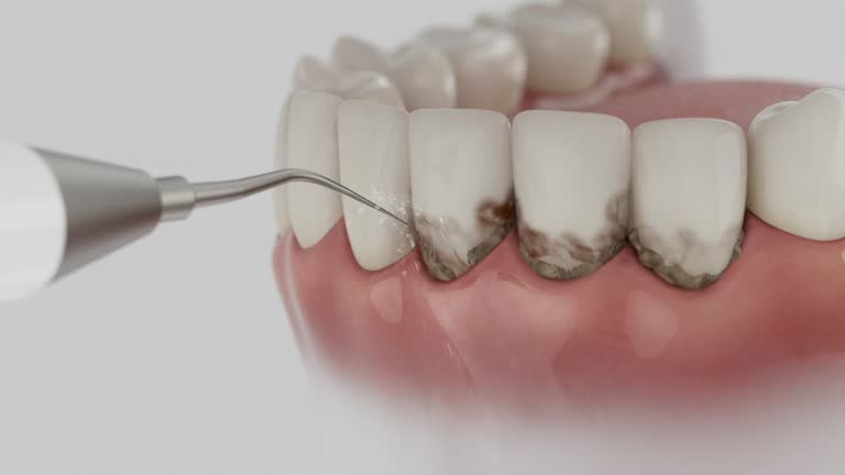 Reliable Dental contractor in Pasadena Hills, MO by Dentist Open Now